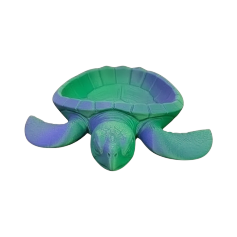 Turtle Bowl