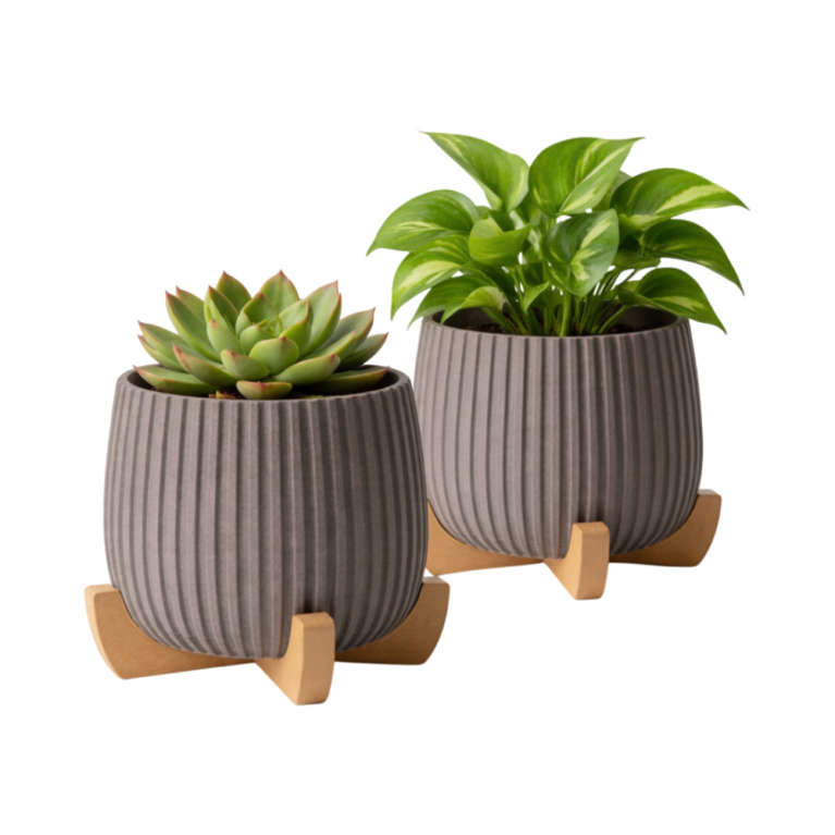 Flower or Succulent Planter with Stand