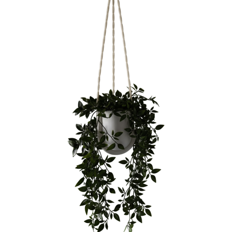 Hanging Planter