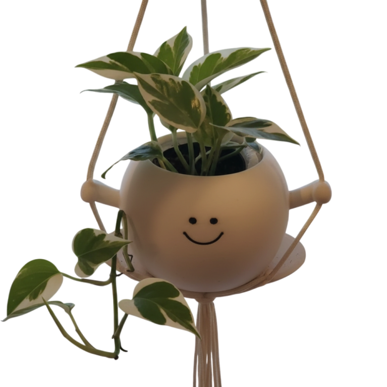 Happy Planter Pot on a Swing