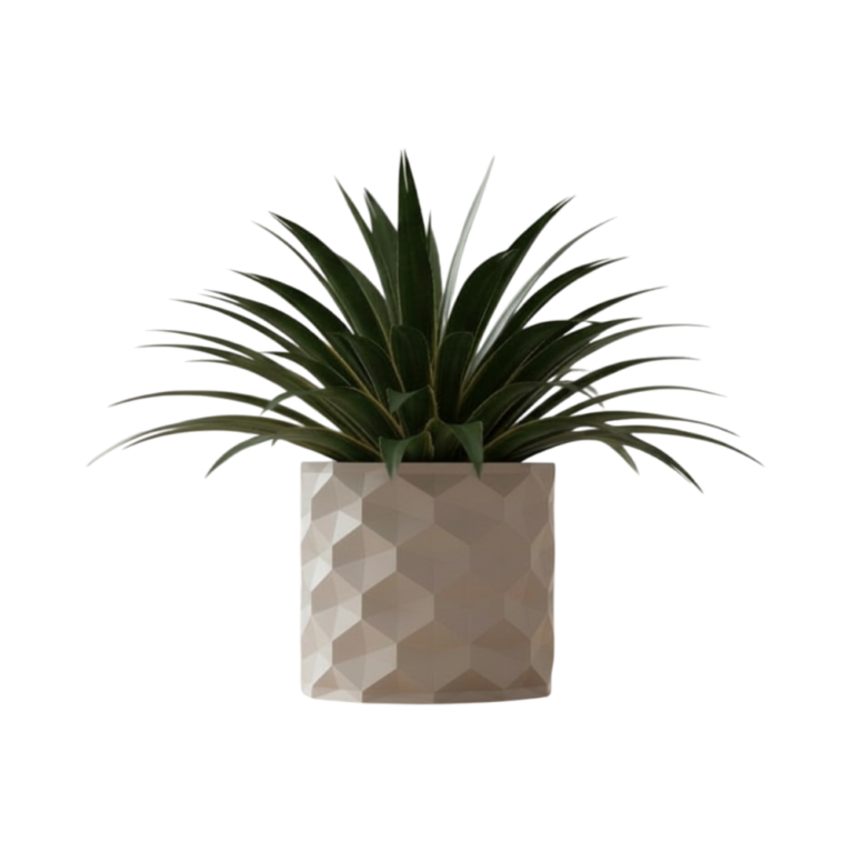 Planter Hexagonal Big