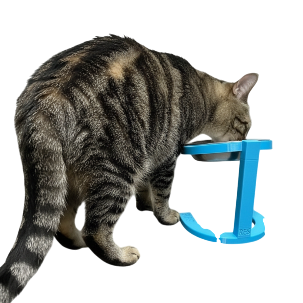 Raised Cat Pet Food Bowl - Image 2