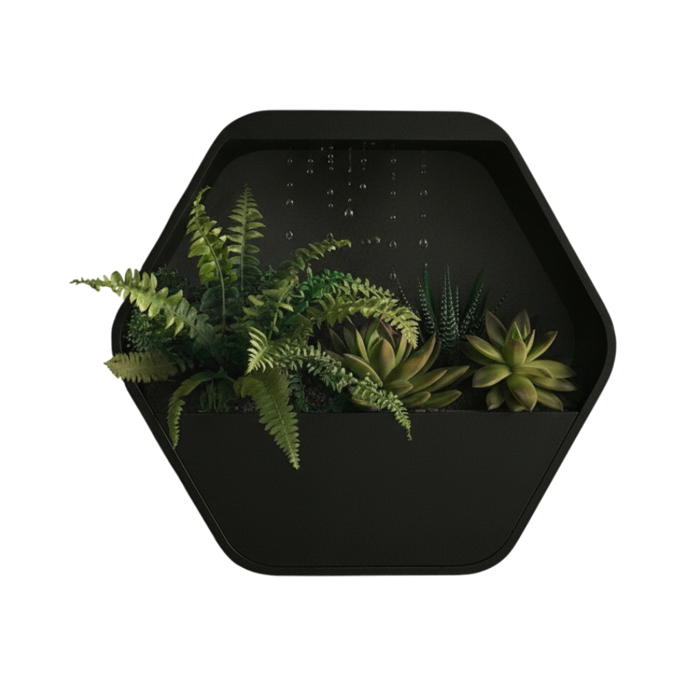 Wall & Table HexaRain Zen Slow-Drip Planter__front