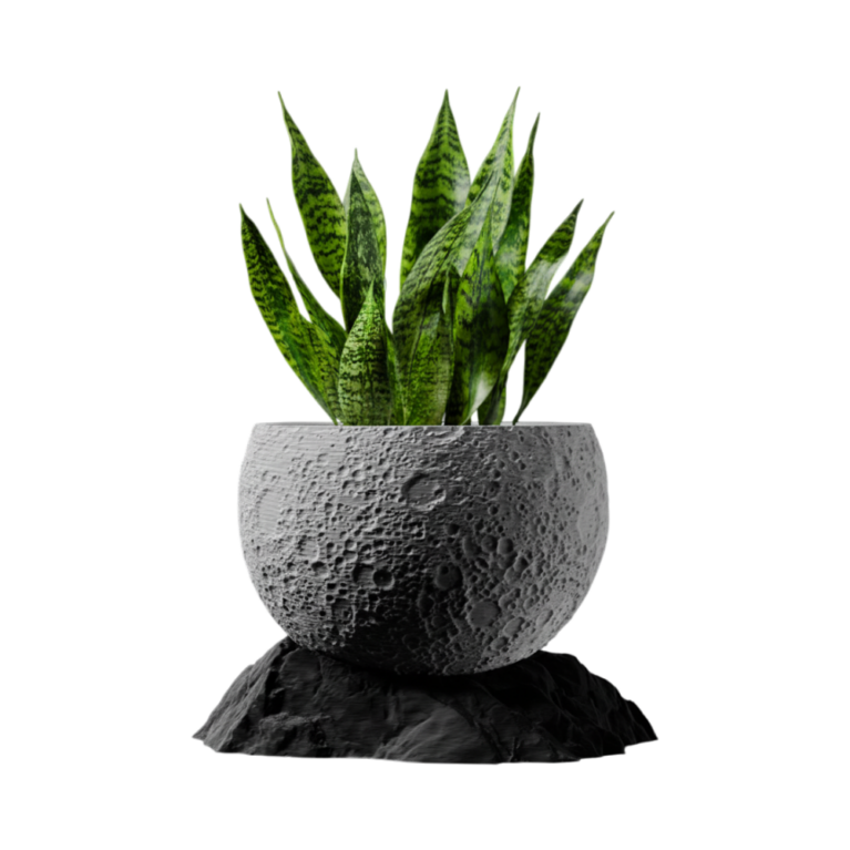 Moon Planter with Base