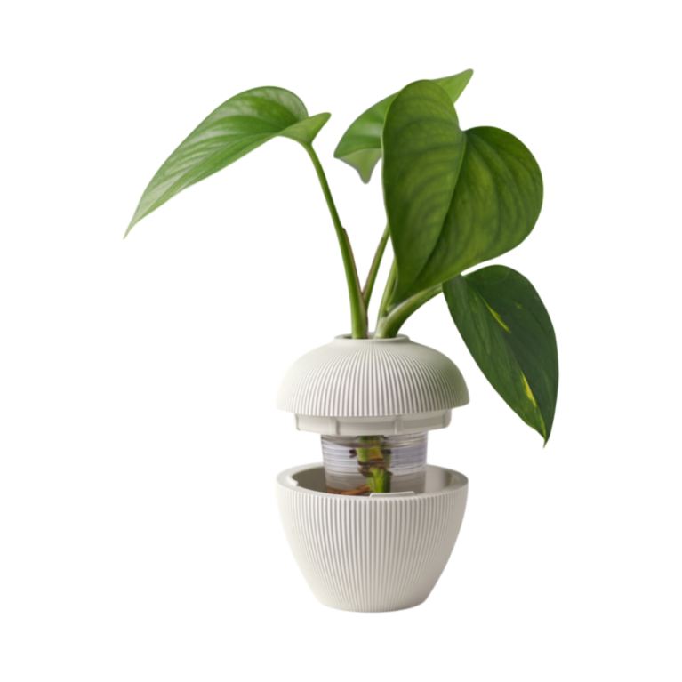 Propagation Vase
