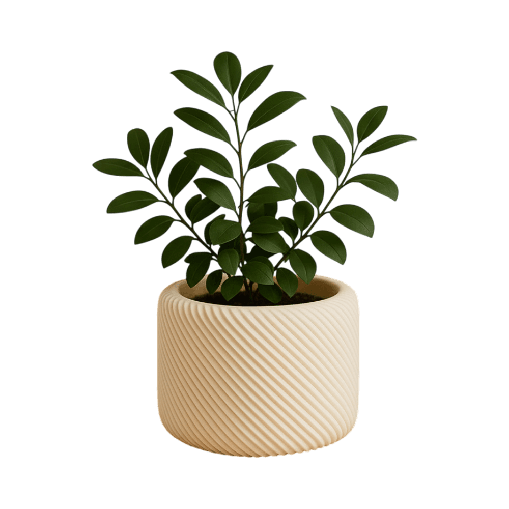 The Claudia Planter, three-quarter left view