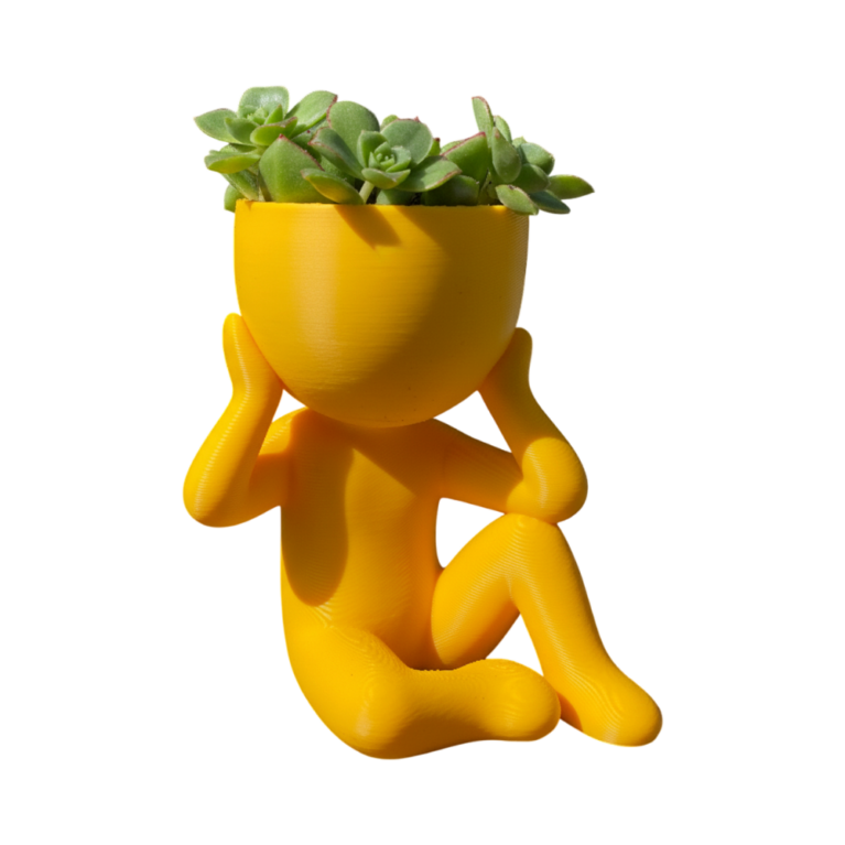 Thinker Planter
